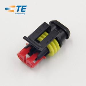 Chine 1.5mm logement des véhicules à moteur de 2 connecteurs de Pin TE à vendre