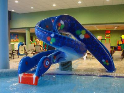 China Kids Cobra Water Slide Fiberglass Swimming Pool Snake Water Slide for sale
