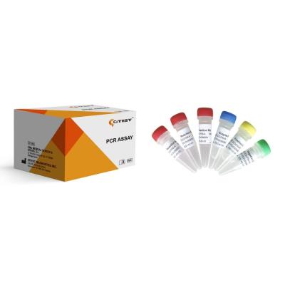 China ORF1ab And N Genes PCR Rapid Test SARS-COV-2 RT-QPCR Assay Triple Fluorescence for sale