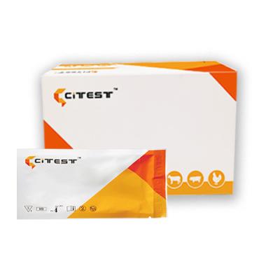 China Test-Kassetten-Absonderungs-Hundestaupe-Test-Ausrüstung CDV CAV II Antigen-CIV kombinierte schnelle zu verkaufen