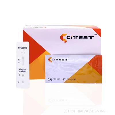 China CE 25T Brucella Abortus Antigen Rapid Test WB S P Infectious Disease Test Kit for sale
