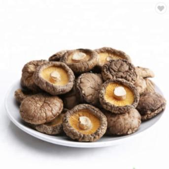 China Healthy Dry Shiitake Mushroom 1kg Smooth Surface 2 Years Shelf Life for sale