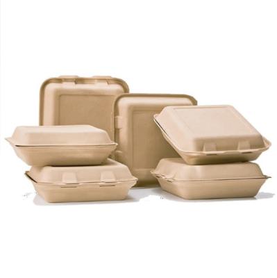China Eco Food Serving Tools Biodegradable 1000ml Takeaway Food Container for sale