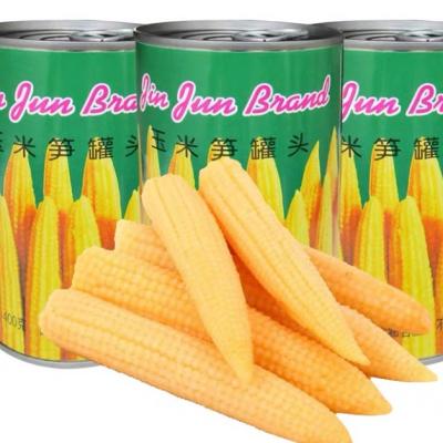China Peeled 454g Canned Fruits Vegetables Canned Baby Corn In Brine for sale