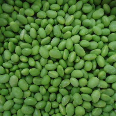 China IQF soja congelada legumes soja descascada edamame congelado sem vagens à venda