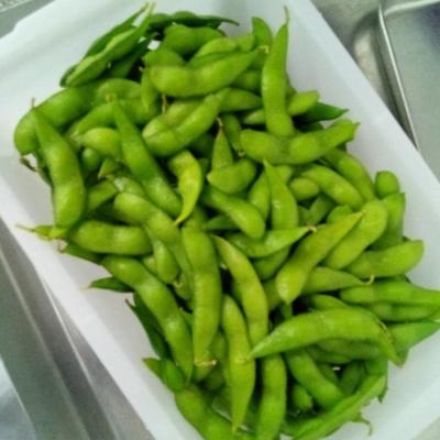 China Edamame Beans Mukimame congelado 6cm IQF descascou Edamame In Pod à venda