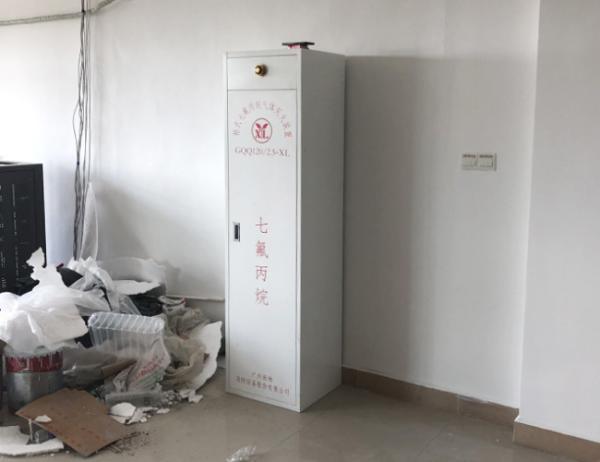 Quality FM200 Gas Suppression System Fire Rated Extinguisher Cabinets ISO9001 for sale