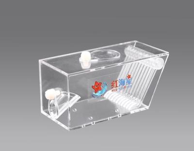 China Aquarium Acrylic Quarantine Case,RF-007 for sale