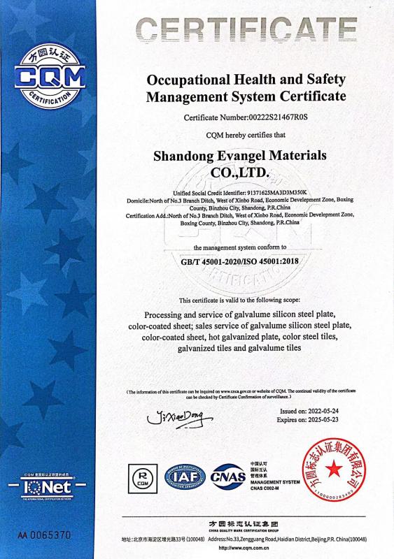 ISO45001:2018 - Shandong Evangel Materials Co., Ltd