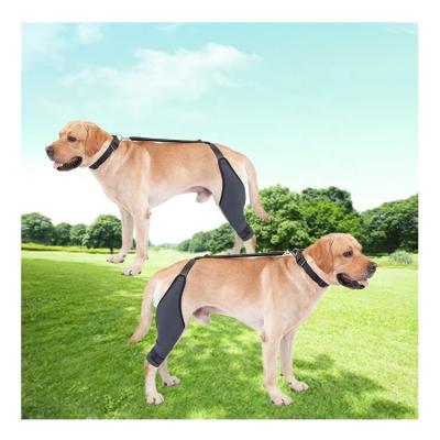 China Anti Tear Dog Hock Protector Anti Vibration Dog Leg Brace For ACL Injury for sale