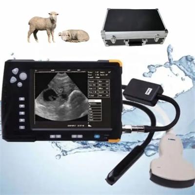 China 8GB Memory Livestock Ultrasound Machine 7 Inch LCD Screen Portable Veterinary Ultrasound Scanner for sale