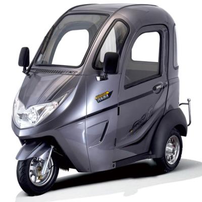 China 1000W Brushless 40km Travel 3 Wheel Electric Tricycle for sale