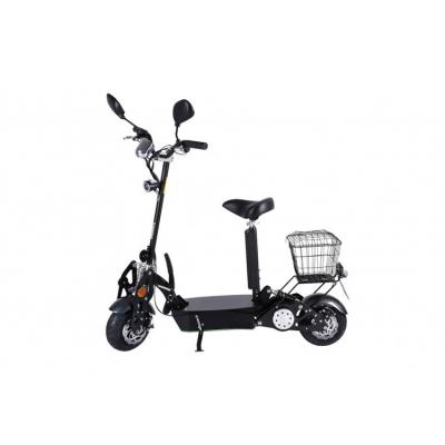 China SE02 1000W 12ah Ultra Portable Electric Scooter AI Smart Two Wheel Balance for sale