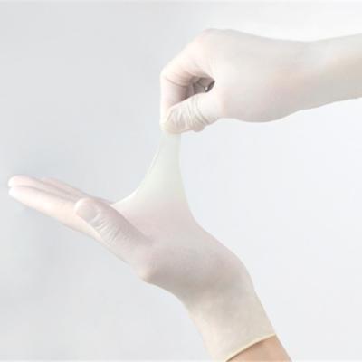 China Anti Virus Disposable Medical Nitrile Gloves , Dentist Non Sterile Nitrile Examination Gloves for sale