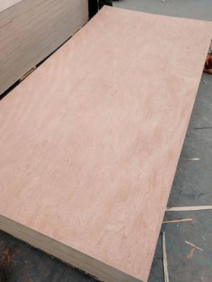 China China ACEALL Meranti Luan Bintangor Faced Commercial Plywood Panels for Packing and Furniture for sale