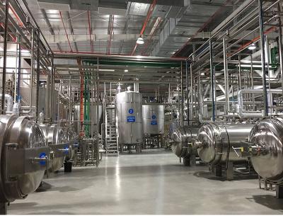 China Factory Fully Automatic 2000L/H Walnut Milk Processing Line à venda