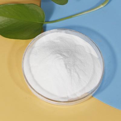 China Sublimation DTF Printing Hot Melt Adhesive Powder PES White Color for sale