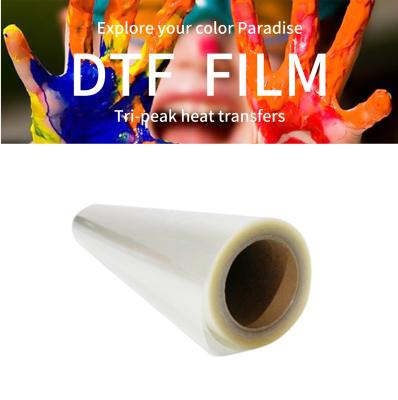 China Width 60cm Thickness 0.075mm DTF Film Roll For ProMax DTF Printer for sale
