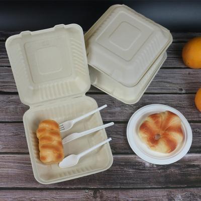 China 800ml Takeaway Containers Microwave Safe Bagasse Clamshell Birthday Party Disposable Plates for sale