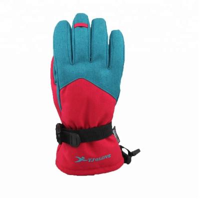 China Winter Women's Primaloft Thinsulate Ski Gloves Snowboard Warmly for sale