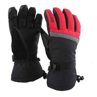 China Ski Equipment Ski Gloves waterproof from Waterpoof and professional windproof for sale
