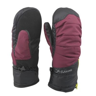 China Custom Waterpoof Winter Warm Keeping Waterproof Windproof Adult Ski Mittens for sale
