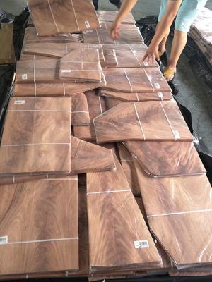 China A fatia de madeira exótica da folhosa do folheado da decoração luxuosa cortou 0.5mm à venda