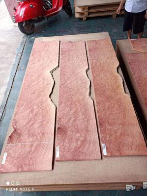 China Folheado de madeira do corte giratório de Burl Veneer 200mm da sequoia vermelha da porta interior à venda