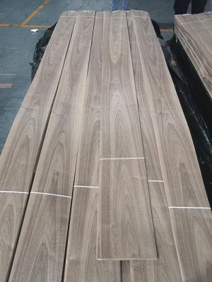 China Premium Quality Crown Cut American Walnut Natural Wood Veneer for Fancy Board for sale
