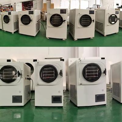 China Household Economical Vacuum Freeze Dryer Lyophilization Machine PLC Control for sale