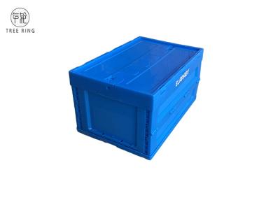 China Plastic Collapsing Folding Crate Collapsible Crate Foldable Crate for sale