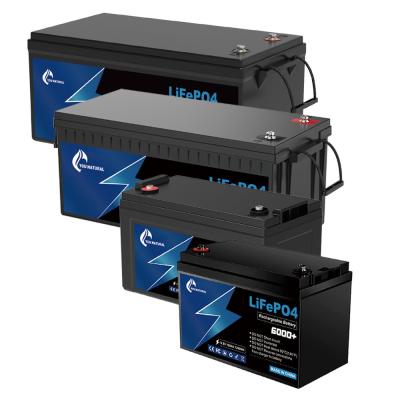 Chine 12v 100ah To 300ah Lifepo4 Battery 4000Wh Prismatic Lithium Ion Battery à vendre
