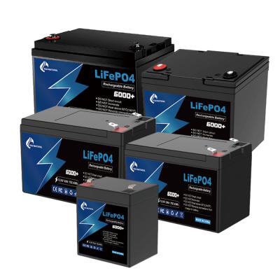 China Rechargeable 12V LiFePo4 Battery 10ah To 100ah Lifepo4 Battery Pack for sale