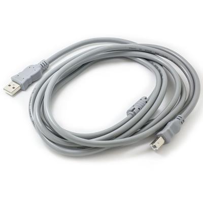 China Gray A Male To B Male Data Transfer USB 2.0 Cable 5M Customized for sale
