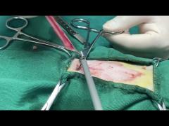 Vet ultrasonic scalpel in pets‘ surgery