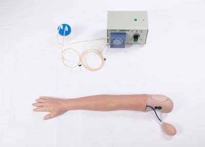 China Advanced PVC Simulated human hemodialysis Arm Training Model for sale