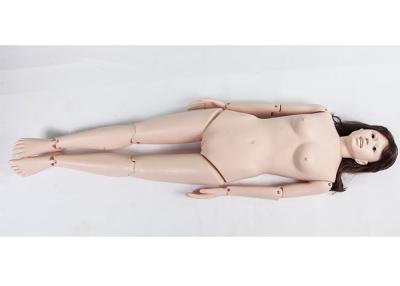 China Full Length Preoperative Aseptic Manipulation Simulation Manikins Model for sale