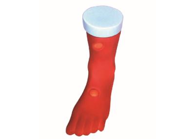 China Simulación clínica del modelo del edema de las picaduras de la pierna del PVC para el entrenamiento de cuidado en venta