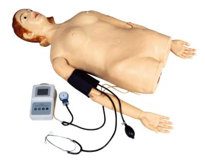 China Female Half - Body Palpation Simulator with Blood Pressure Measurement for School , Hospital for sale