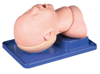 China Infant Airway Management with Head for Infant Tracheal Intubation Training for sale