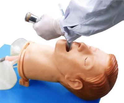China Fully Functional Airway Training Manikins with Color Liquid Crystal Display for sale