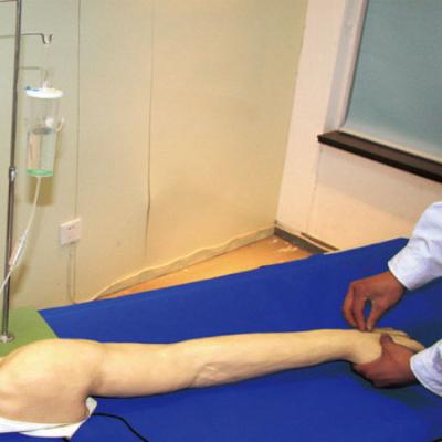 China Full - functional venipuncture training arm For Nursing College , iv practice arm for sale