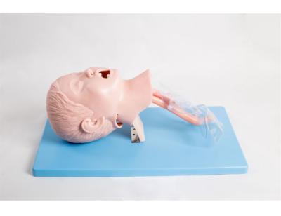 China Tracheal Intubation Training Airway Child Manikins for sale
