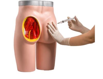 China Injection Training Intramuscular Medical Human Buttock for sale