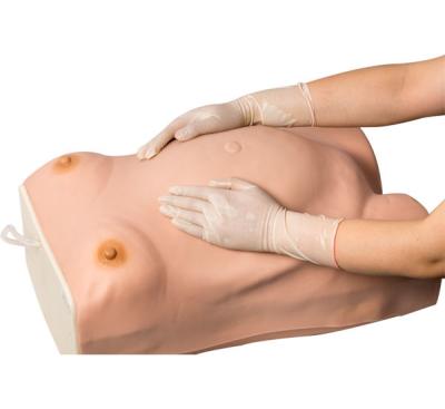 中国 妊婦の骨盤の測定の医学の訓練の人体摸型 販売のため