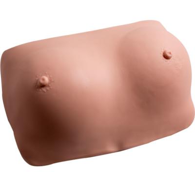 中国 ポリ塩化ビニール身につけられる胸の検査の婦人科のシミュレーター 販売のため
