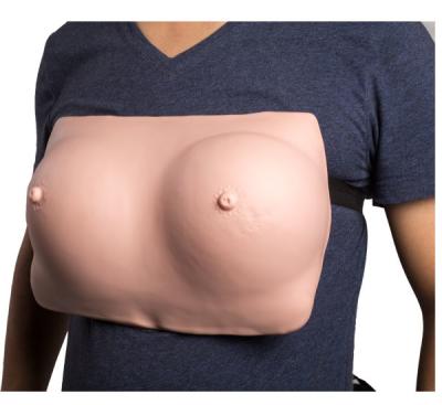 China Breast Examination Gynecologic Simulator With Wear Belt for sale
