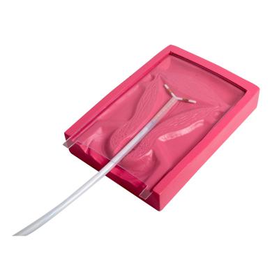 China Medical PVC IUD Insertion Gynecologic Simulator For Intrauterine for sale