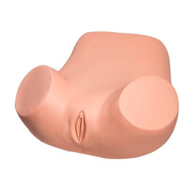 China Replacement Uterus Gynecologic Simulator Vaginal Pelvic Exam Simulator for sale