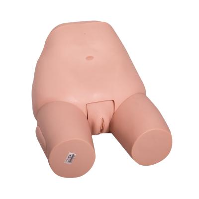 China Simulador ginecológica do exame fêmea do útero do fundo à venda